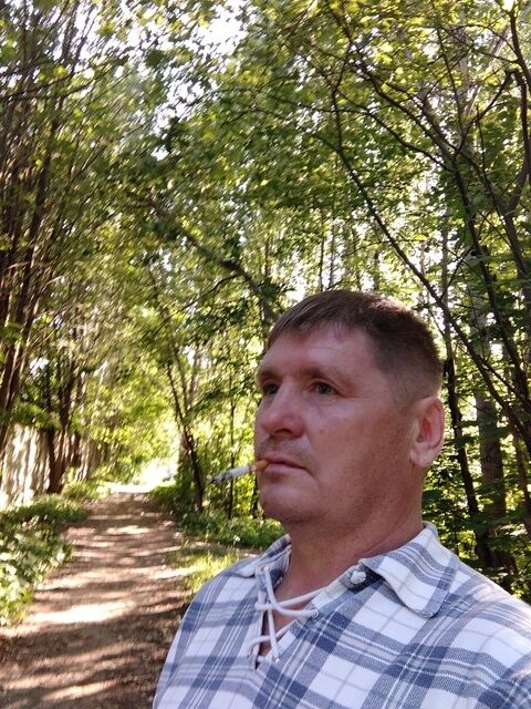  45058878  , 51 ,    -