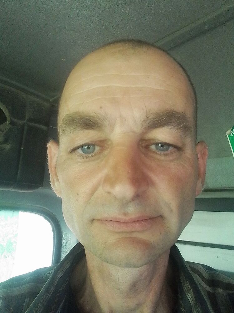  43519558  , 49 ,    
