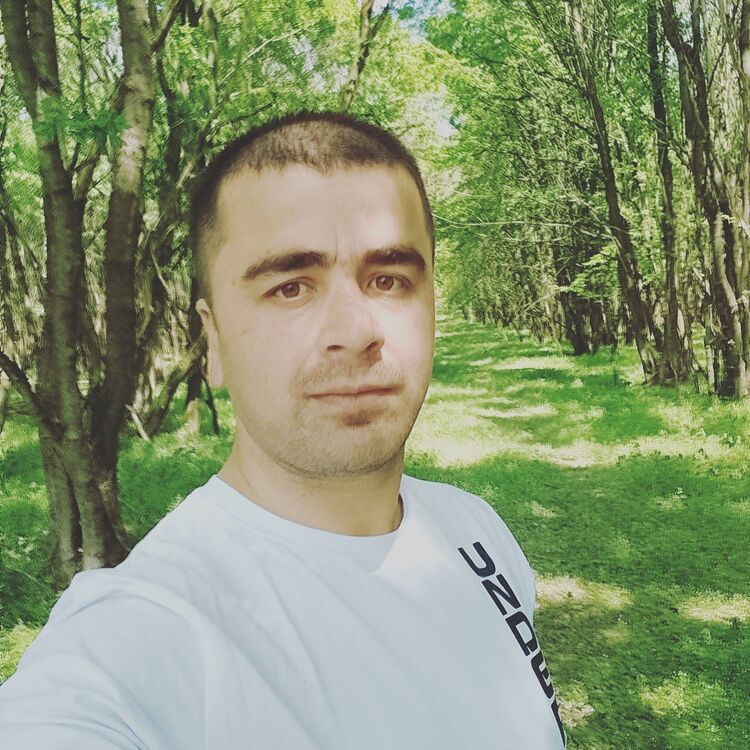  34801278  , 31 ,    