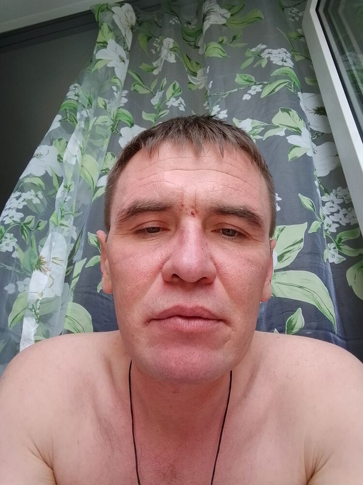  51678668  , 40 ,    -