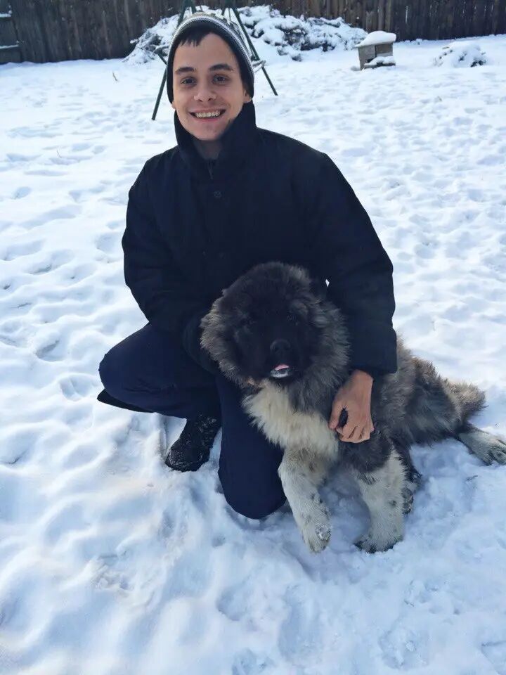 ���� 33752718 ������� ����, 33 ����, ���� ���������� � �����������