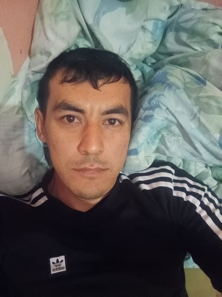  33866308  , 36 ,    