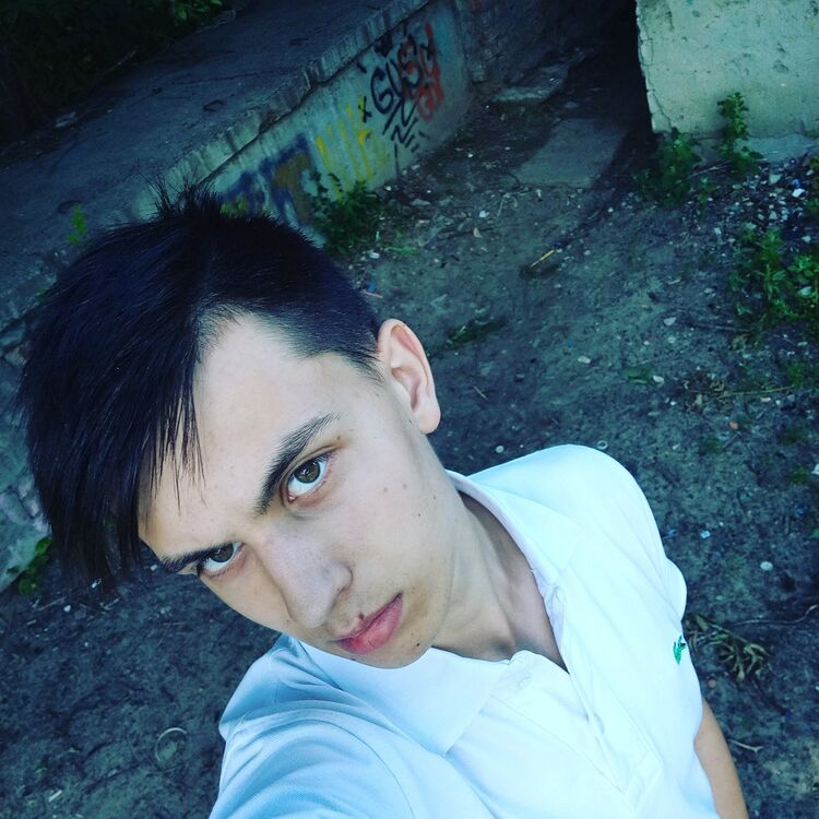  9913478  , 28 ,    