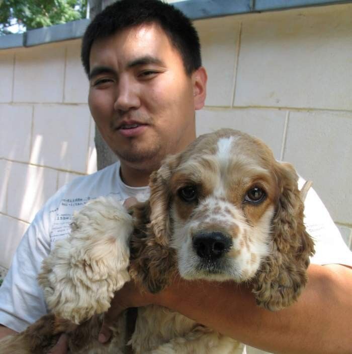 ���� 8563988 ������� Baiel, 28 ���, ���� ���������� � ������