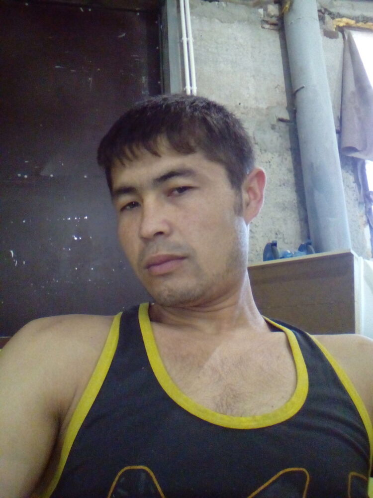  9599368  , 34 ,    