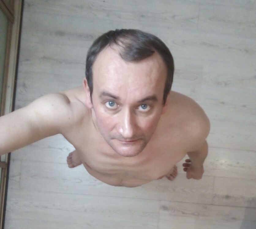  50082748  , 47 ,    -