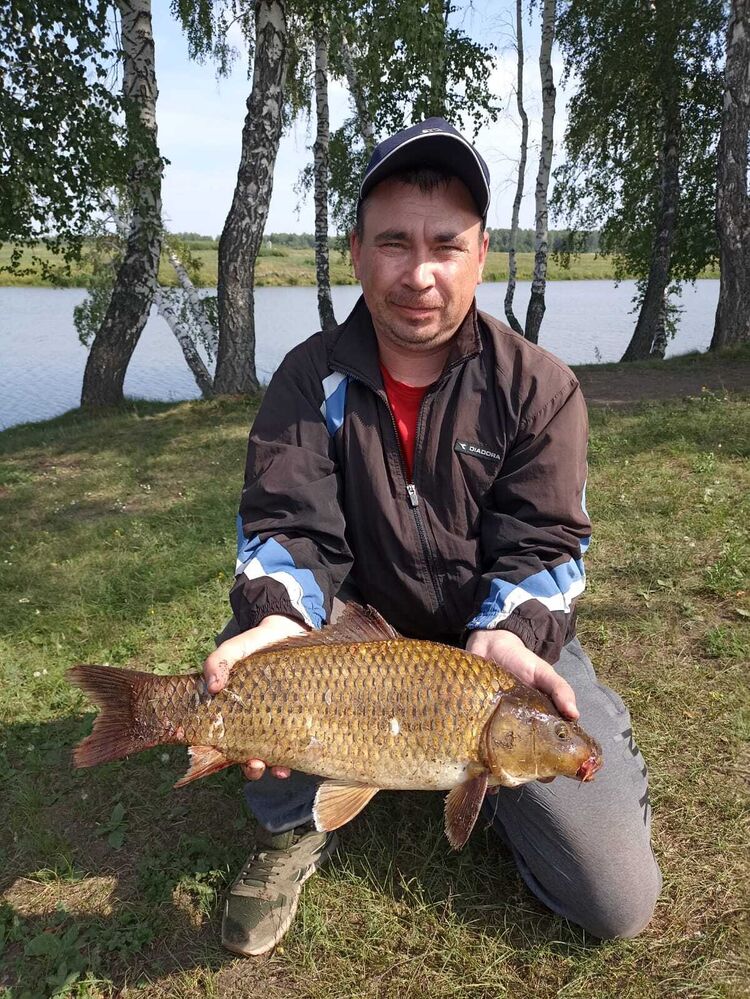 ���� 40533588 ������� �������, 42 ����, ���� ���������� � ������������