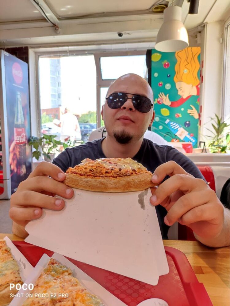 ���� 43208308 ������� ����, 33 ����, ���� ���������� � ������