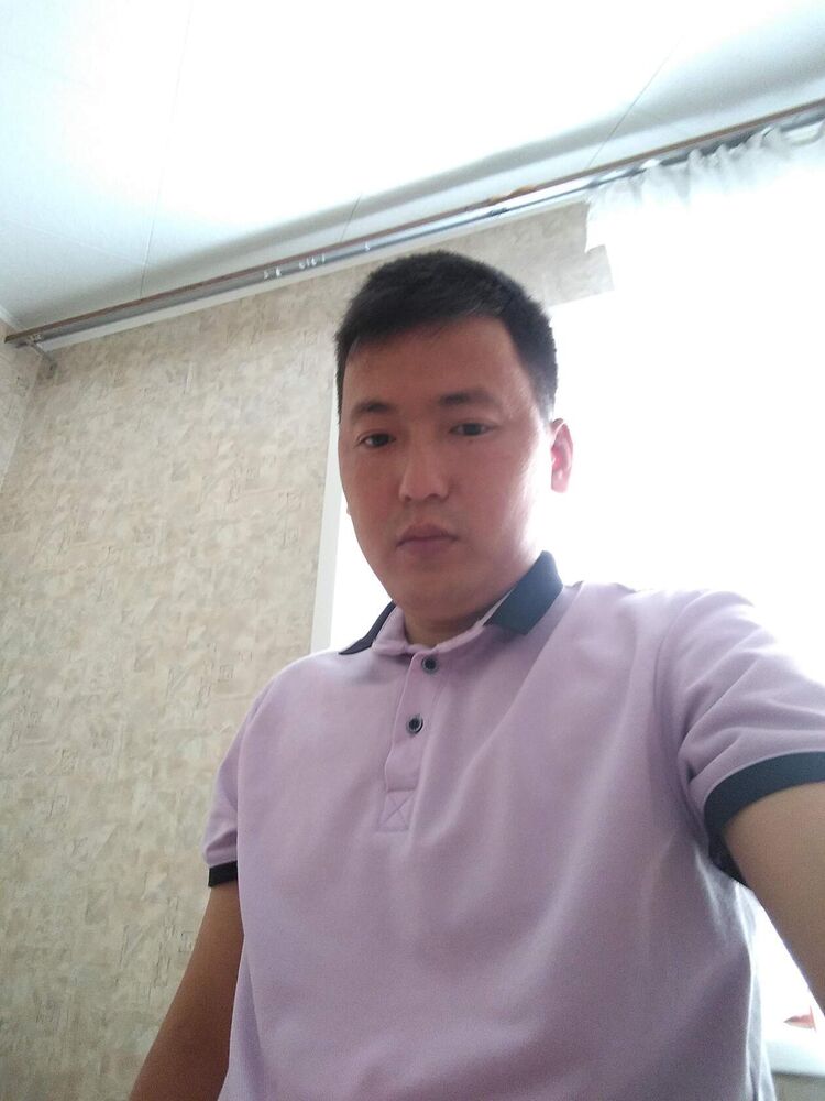  49032908  , 31 ,    