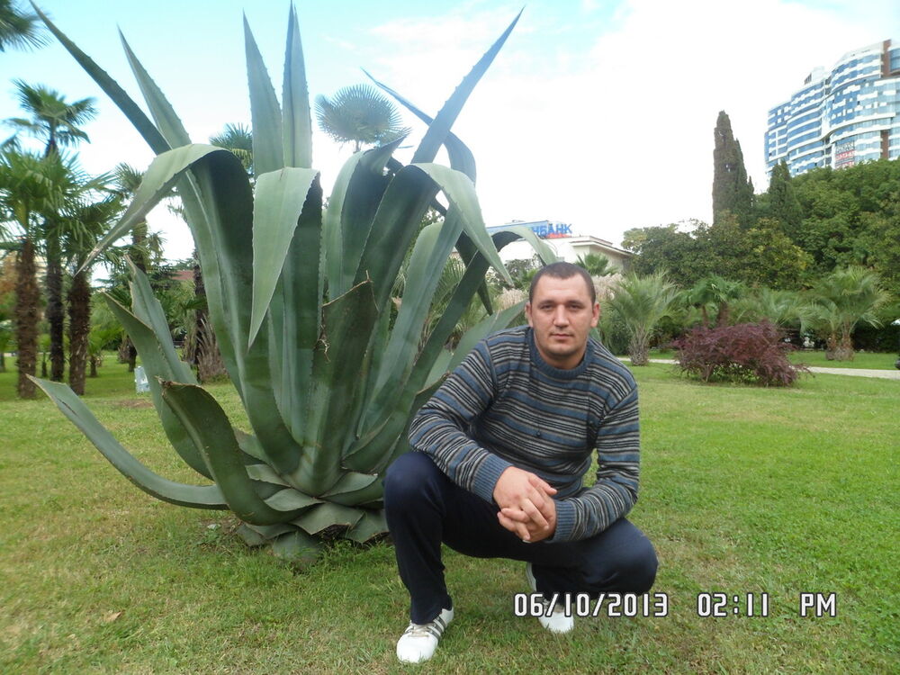 ���� 4105028 ������� �����, 41 ���, ���� ���������� � ����������