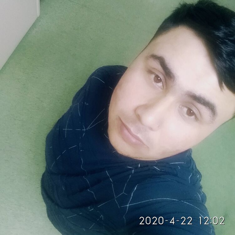 ���� 20459388 ������� OZODJON, 31 ���, ���� ���������� � ����������