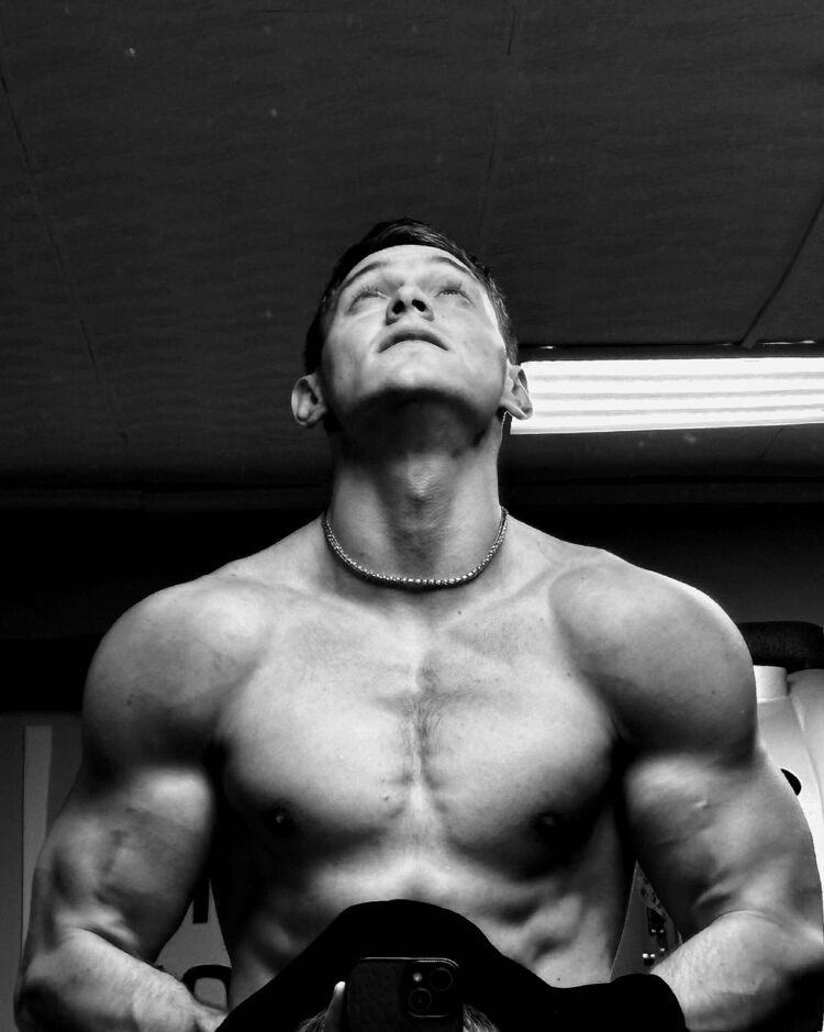  53151728  , 25 ,    -