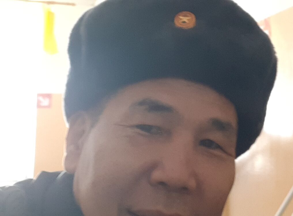  33964378  , 53 ,    