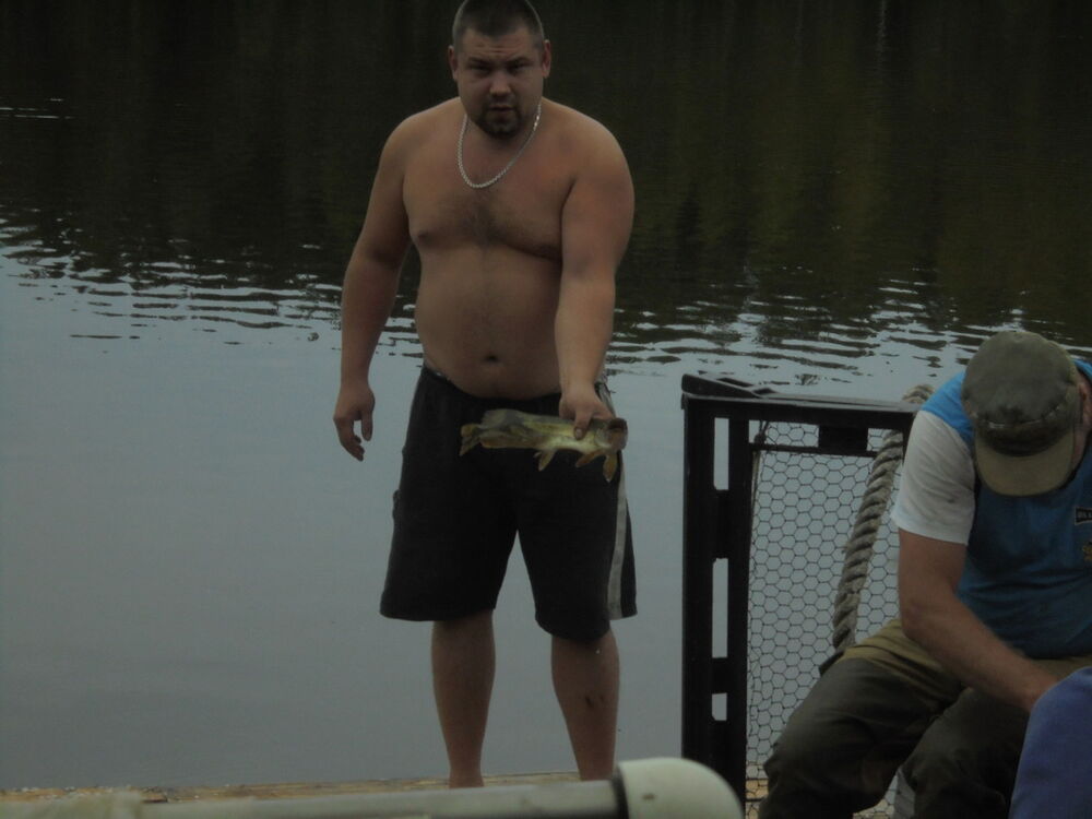 ���� 16735368 ������� ���������, 42 ����, ���� ���������� � �����