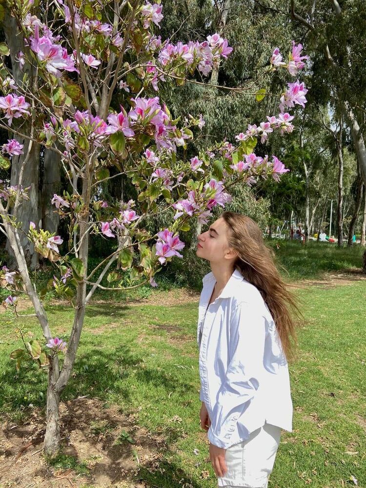 ���������� ������, ���� ������� �����, 28 ���, ������������ ��� ������, ����� � ���������