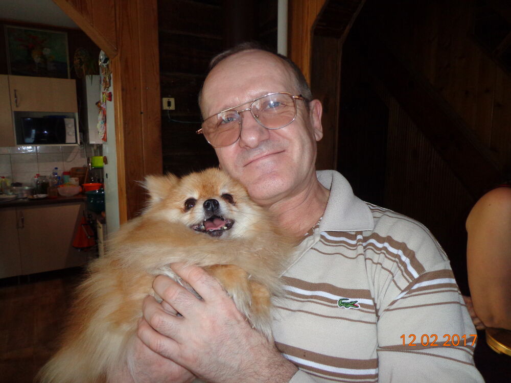 ���������� �����������, ���� ������� ���������, 27 ���, ������������ ��� c�������� ���������