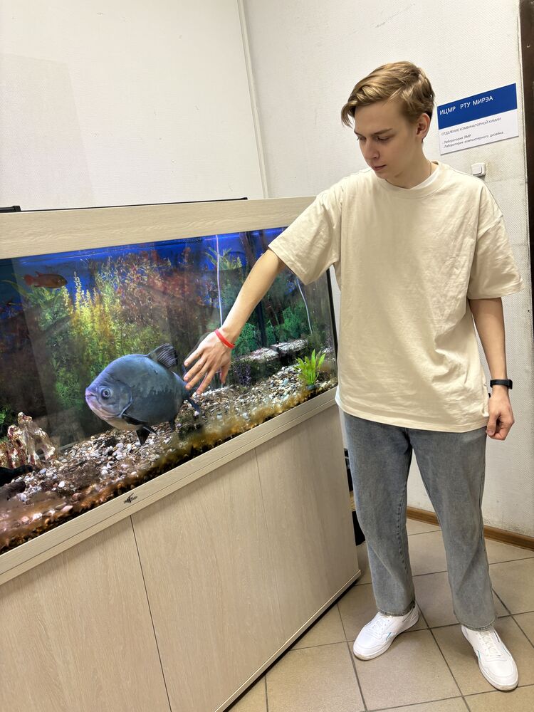 ���� 41910068 ����� �������, 20 ���, ���� ���������� � ������