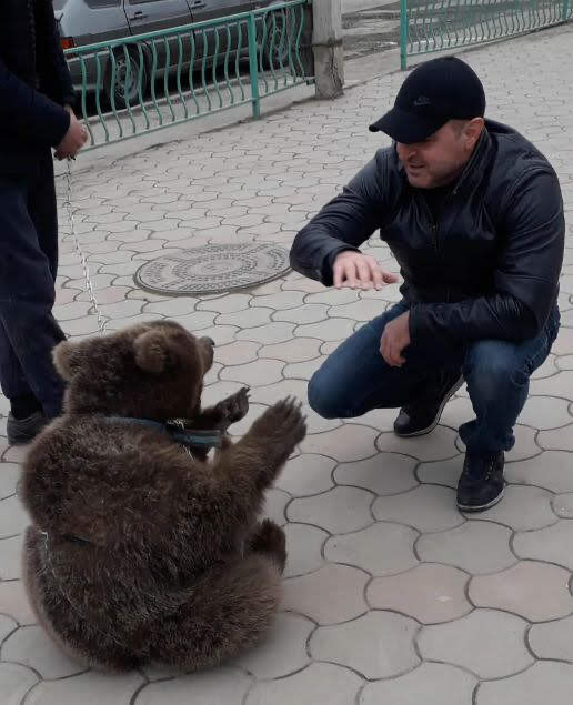 ���������� ����������, ���� ������� �����, 39 ���, ������������ ��� ������, ����� � ���������