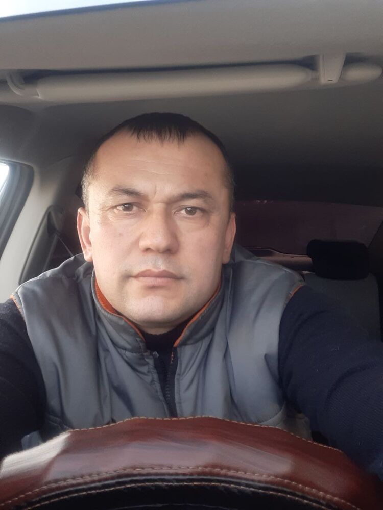  50293128  , 40 ,    