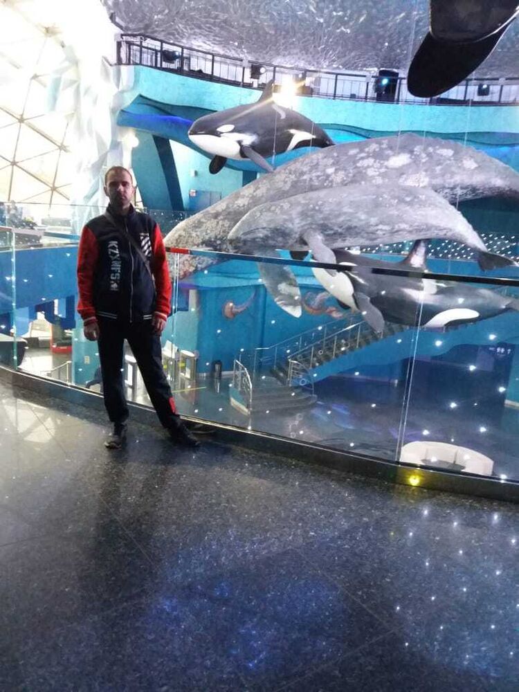 ���� 53437668 ������� �����, 32 ����, ���� ���������� � ������