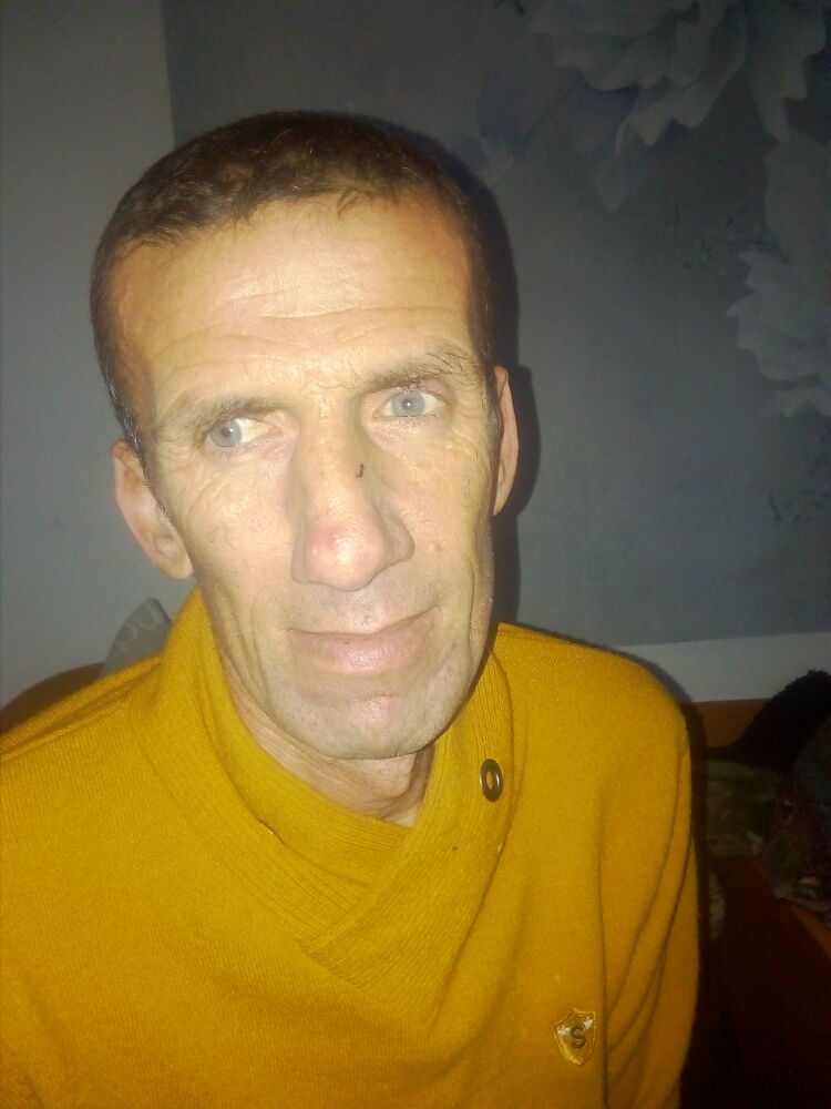  48247208  , 46 ,    