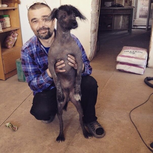 ���������� ��������, ���� ������� ������, 58 ���, ������������ ��� ������