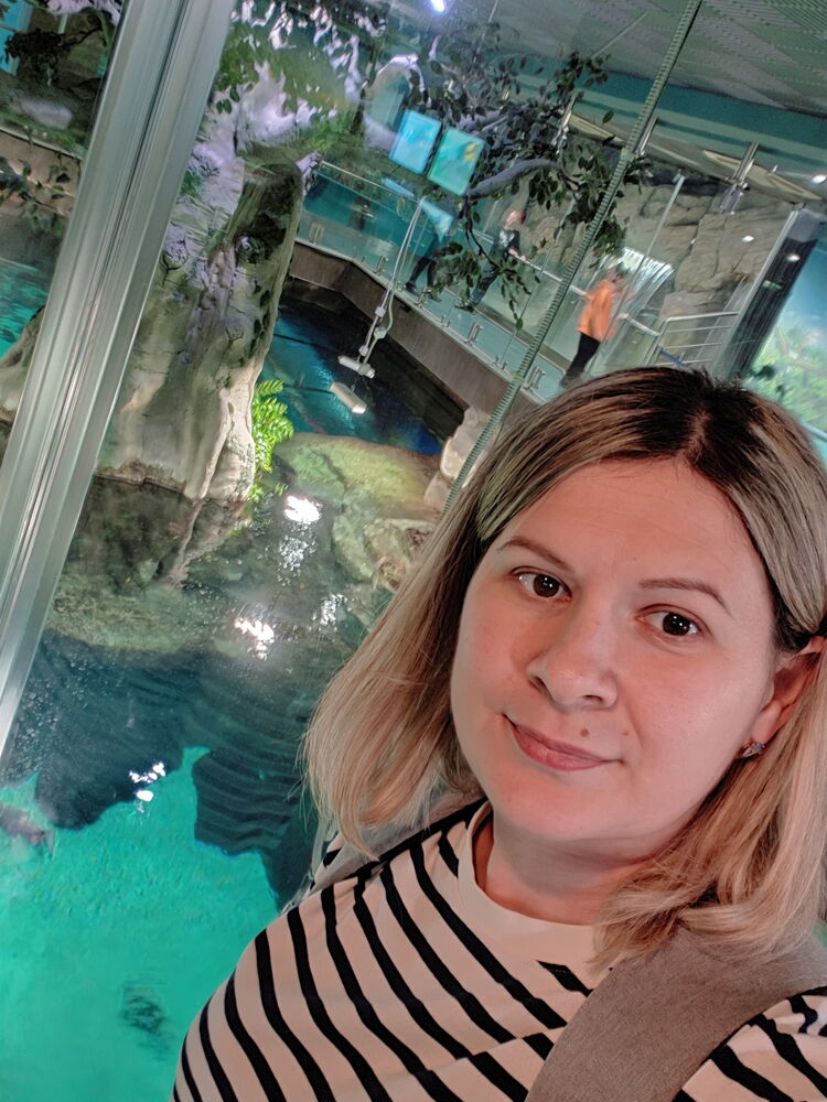 ���������� ���������������, ���� ������� �������, 41 ���, ������������ ��� ����� � ���������, c�������� ���������