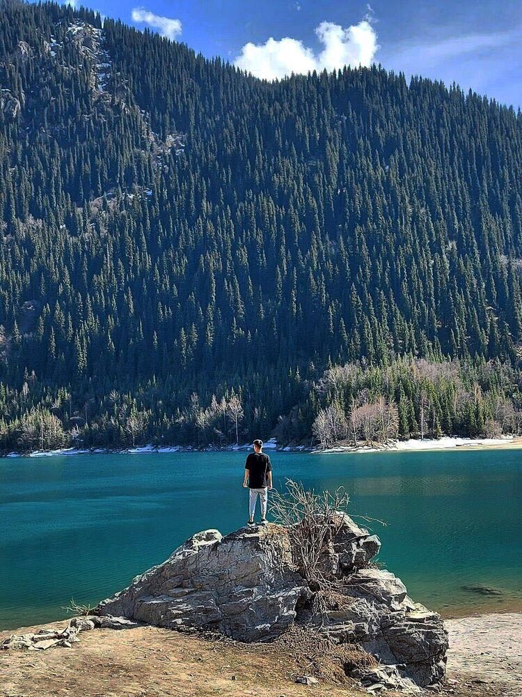 ���� 25011268 ������� ������, 30 ���, ���� ���������� � ���������