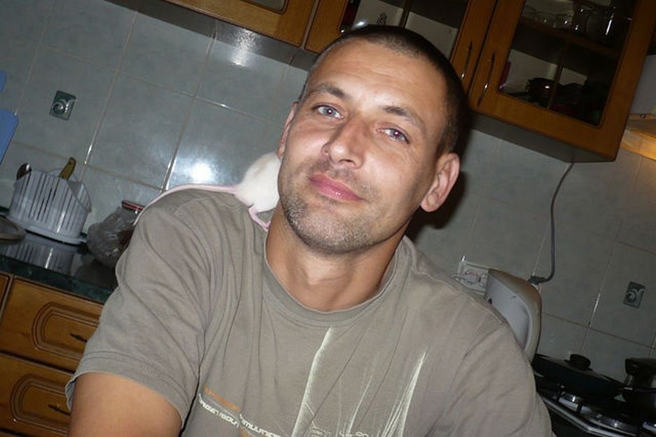   ,   , 51 ,   ,   , c 