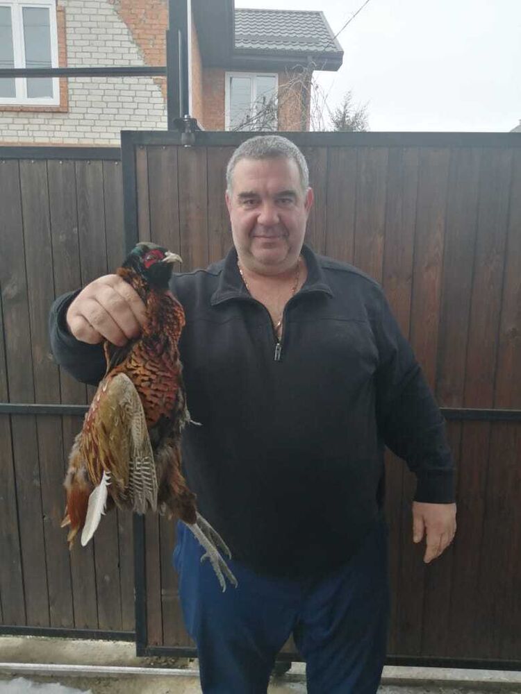 ���������� ���������, ���� ������� ������������, 50 ���, ������������ ��� ����� � ���������, c�������� ���������, ���������