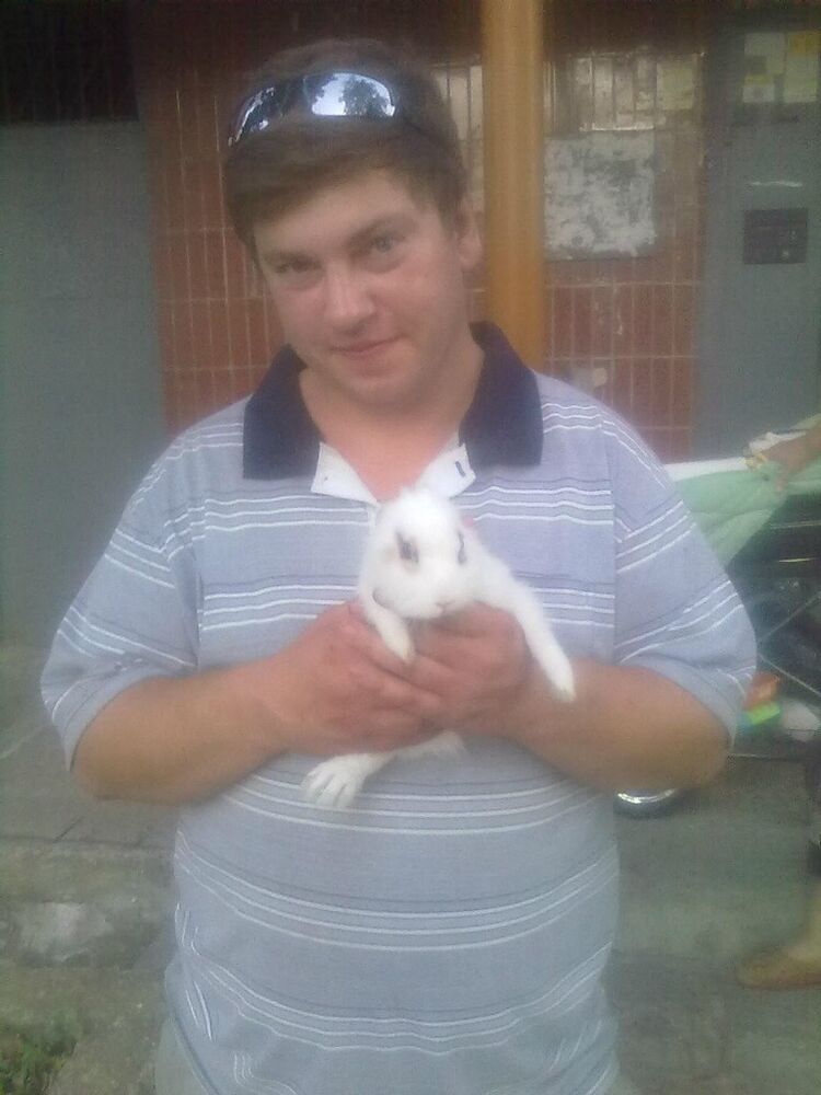  ,   , 37 ,  