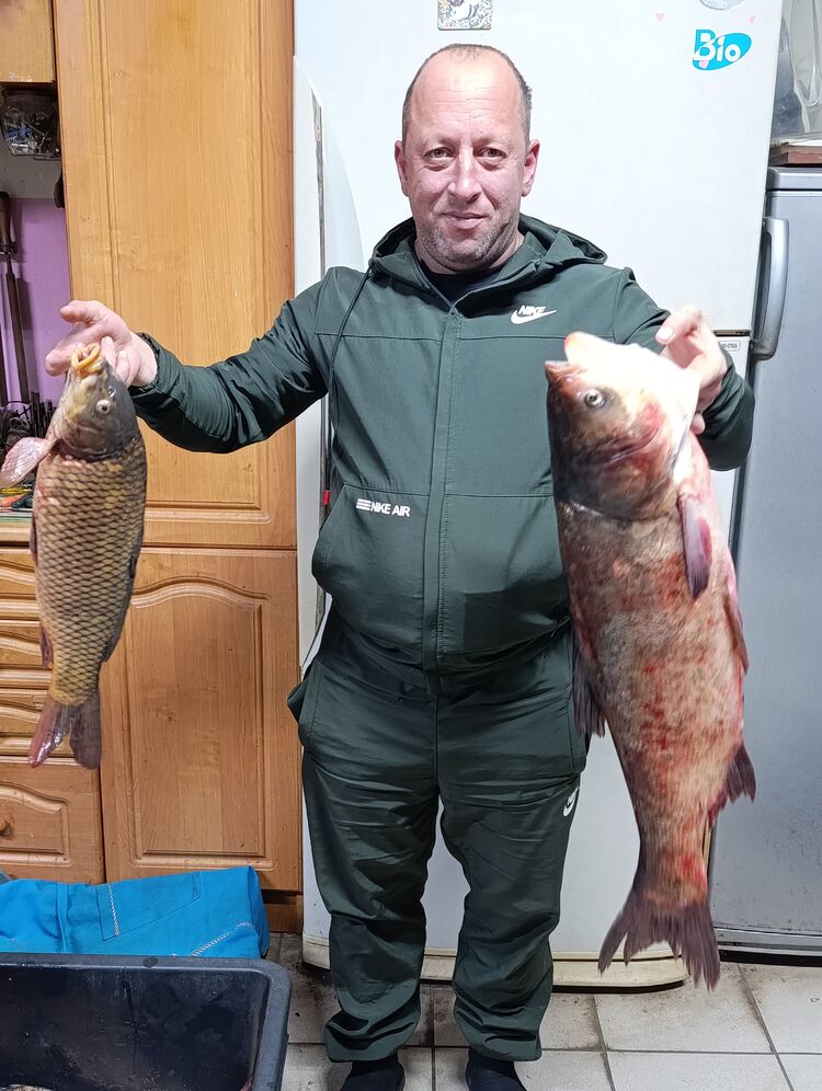 ���������� ����������, ���� ������� �������, 39 ���, ������������ ��� ����� � ���������, c�������� ���������