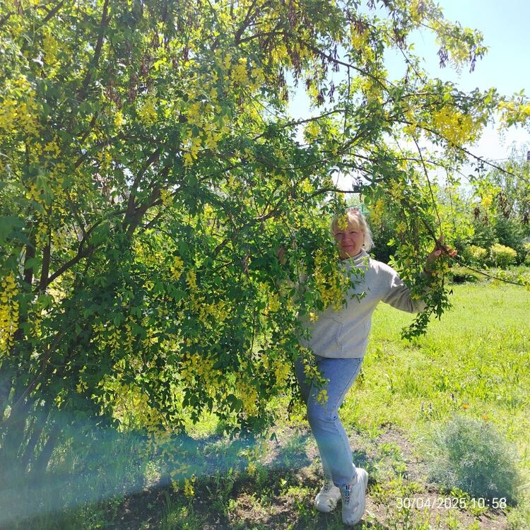 ���� 51280398 ������� �����, 48 ���, ���� ���������� � ��������