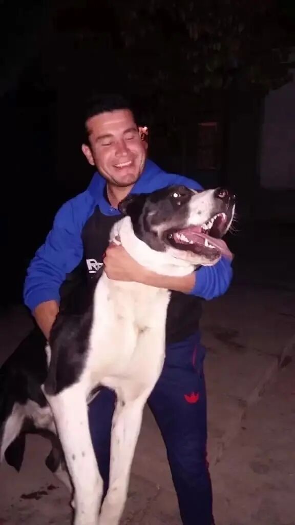 ���������� �����-���������, ���� ������� �������, 34 ����, ������������ ��� ������, ����� � ���������