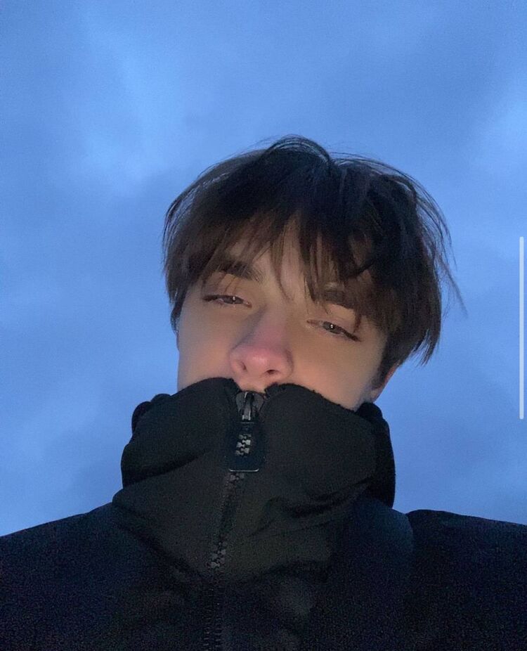 ���������� ������, ���� ������� DiCKENSON, 99 ���, ������������ ��� ������, ����� � ���������, c�������� ���������, ���������