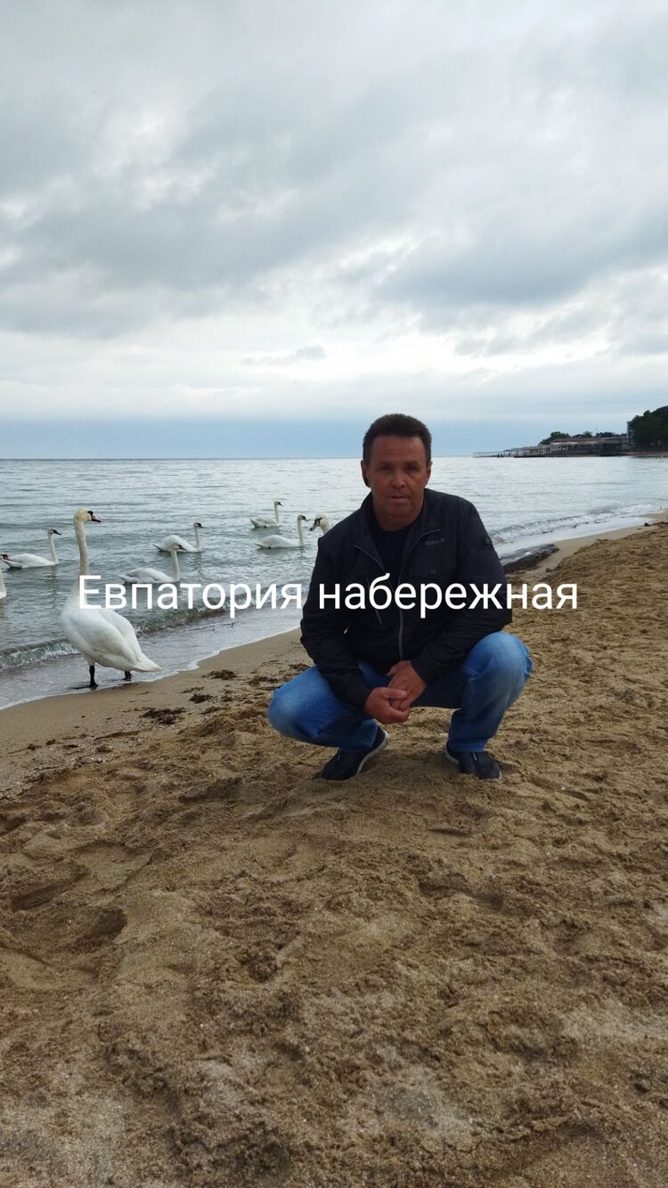 35033578  , 55 ,    