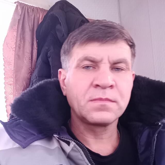  52535018  , 50 ,    