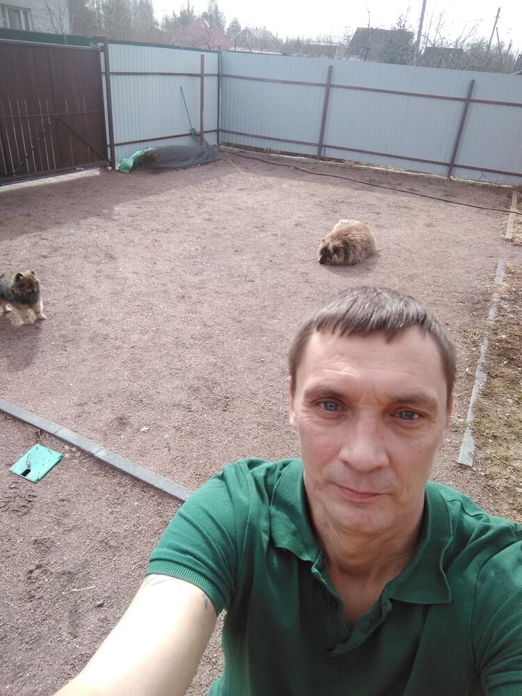  42304508  , 52 ,    -