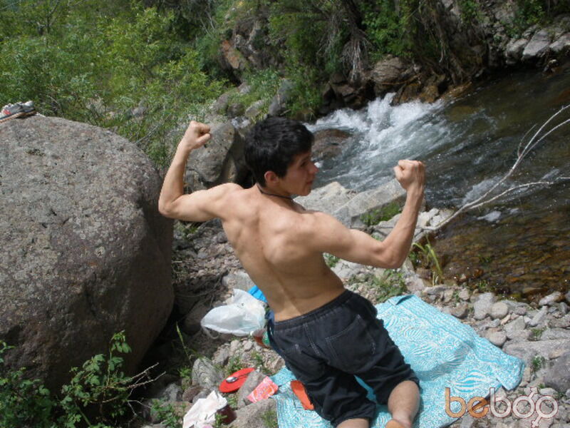  ,   Maus_2010, 37 ,   