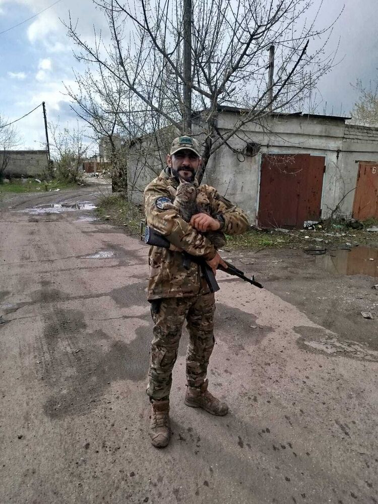 ���� 55541438 ������� Rob, 38 ���, ���� ���������� � �������