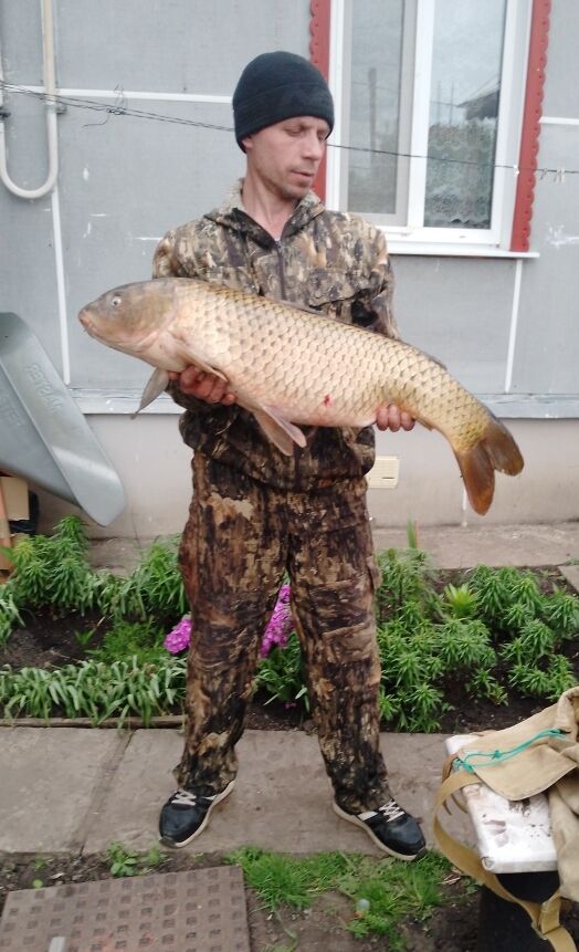 ���� 55714678 ������� ������, 43 ����, ���� ���������� � �������