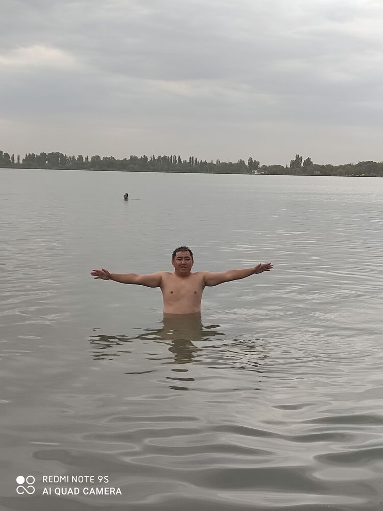  36679858  A, 33 ,    