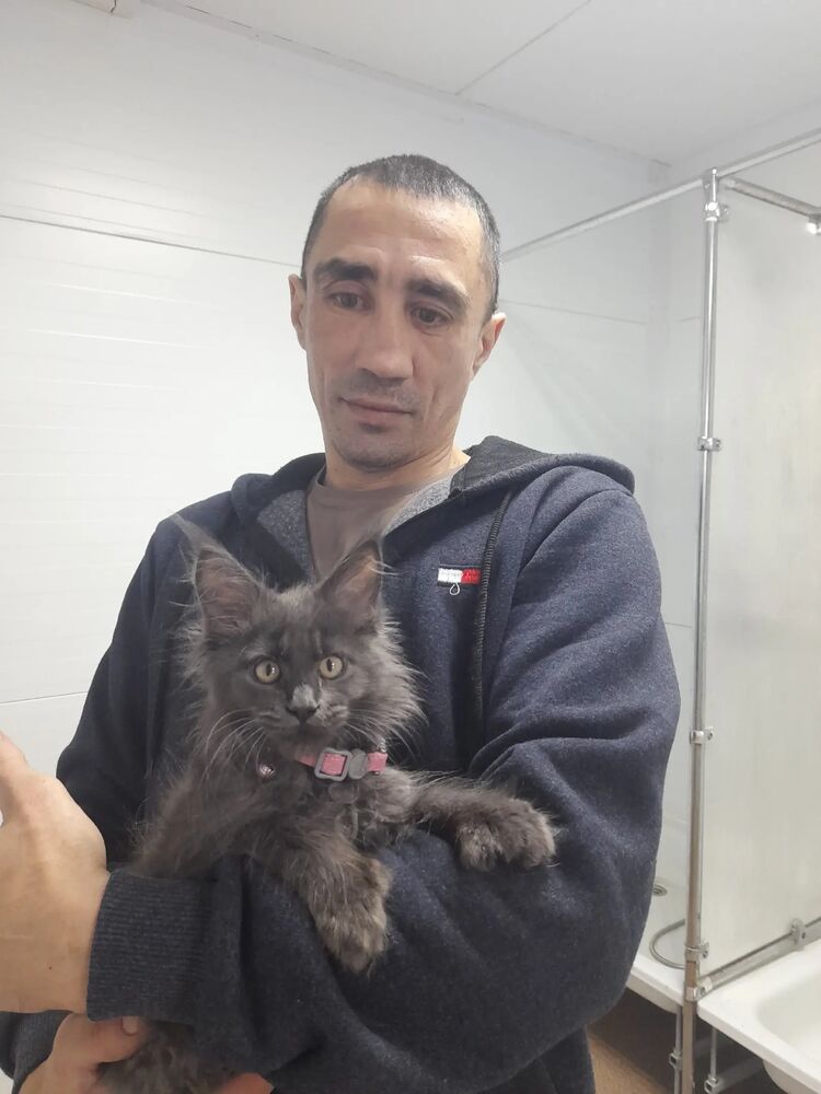 ���� 33308578 ������� �������, 46 ���, ���� ���������� � ������