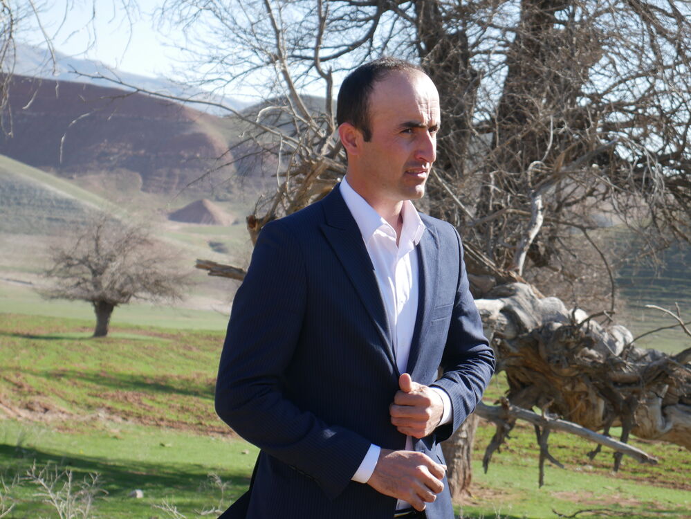 ���������� ������, ���� ������� ������, 36 ���, ������������ ��� ������, ����� � ���������, ���������