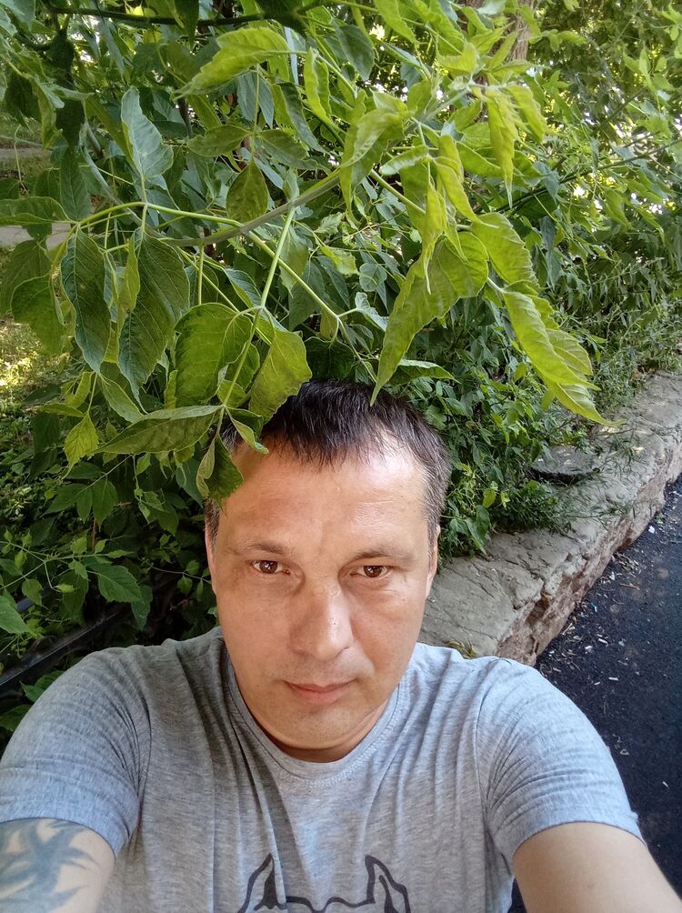 ���� 28686298 ������� �������, 43 ����, ���� ���������� � ����������