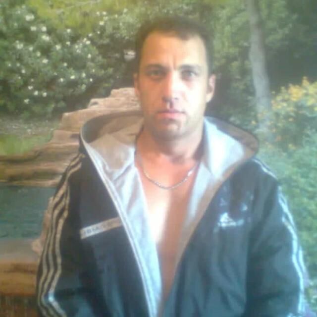  43115868  , 40 ,    