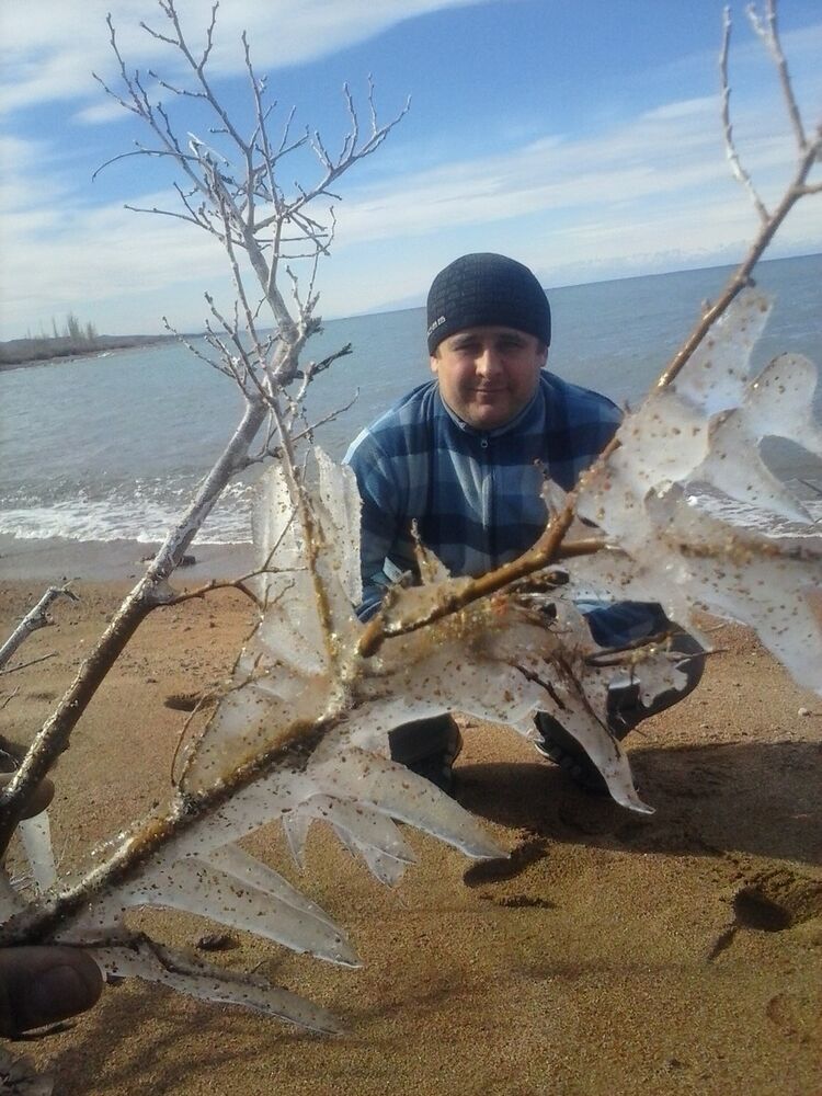  4103528  0550364100, 40 ,    