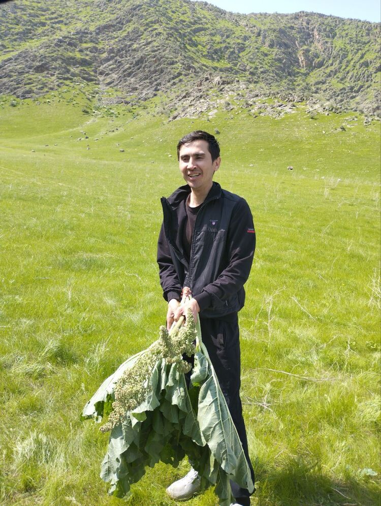 ���������� ������, ���� ������� Azamat, 31 ���, ������������ ��� ������, ����� � ���������