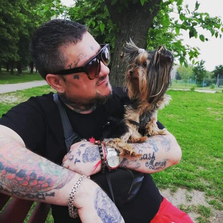 ���������� ����, ���� ������� ����, 44 ����, ������������ ��� ������, ����� � ���������