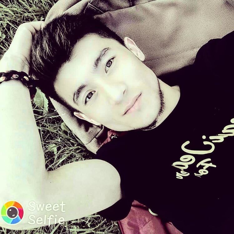  28787968  Beko, 29 ,    